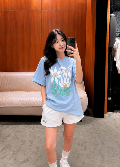 BỘ Blue Daisy  🌼